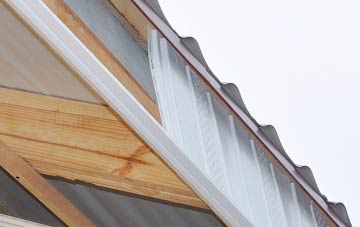 why Seaton Sluice fascia repairs are essential