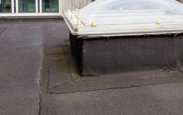 disadvantages of Seaton Sluice flat roofs
