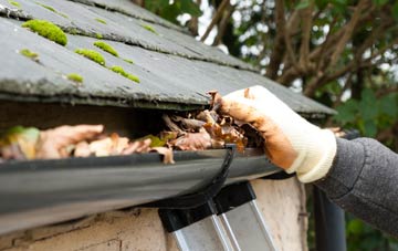 gutter cleaning Seaton Sluice, Northumberland