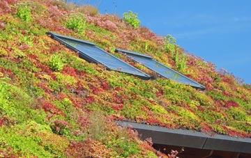 Seaton Sluice living roof systems