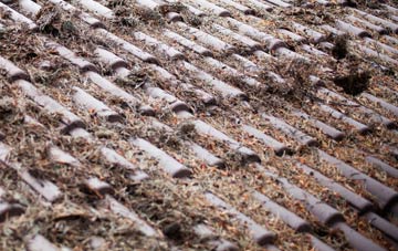 Seaton Sluice roof cleaning companies