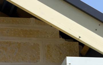soffit repair Seaton Sluice
